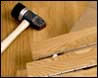 Hardwood Floor Services
