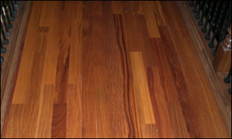 Brazilian Teak (Cumaru)